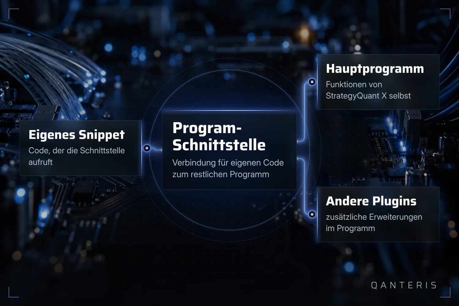 Die Program-Schnittstelle verbindet eigenen Code mit dem Hauptprogramm und mit anderen Plugins von StrategyQuant X.